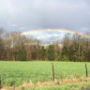 Meet your Posher, Annajane